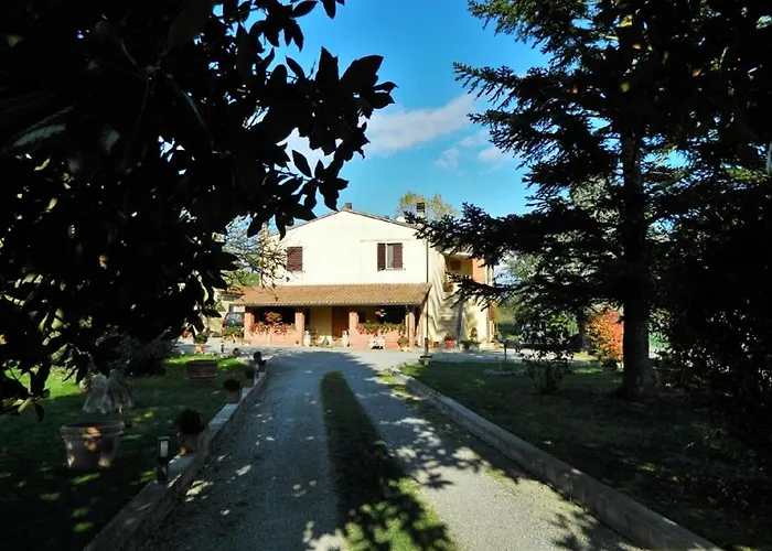 Francigena